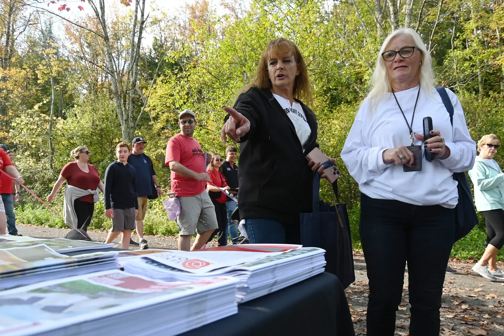 Information Table Display