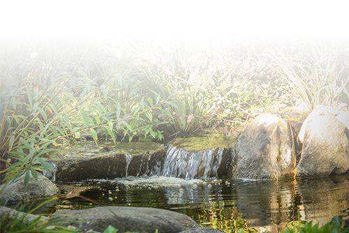 A small waterfall runs into a pond