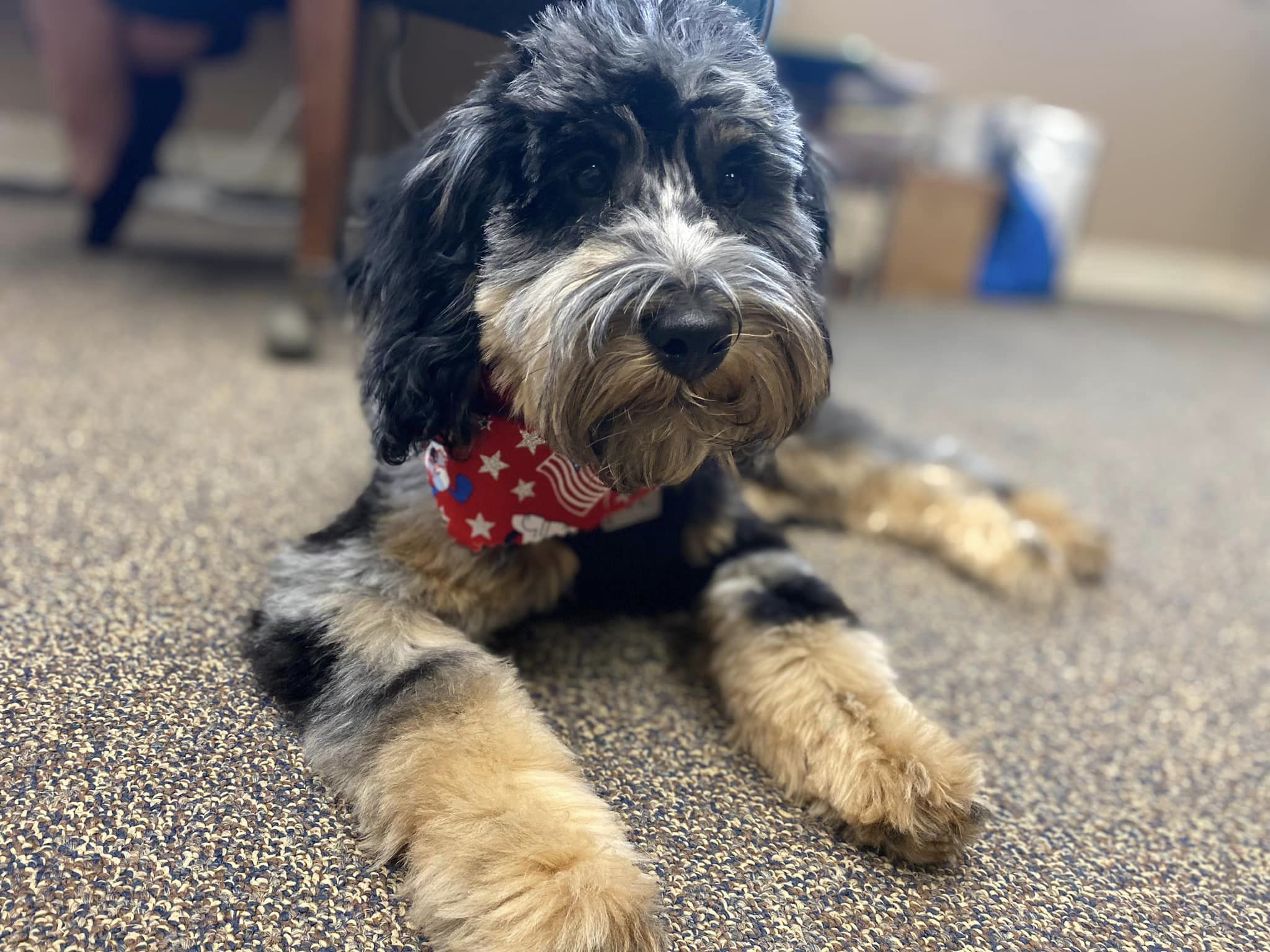 CWP furry employee